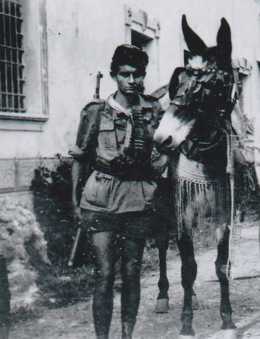 Foto